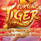 Fortune Tiger